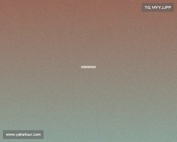 风暴电子科技有限公司